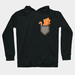 Cute kitten Cat in pocket | I love cats Hoodie